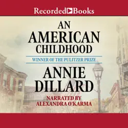 an american childhood audiobook cover image