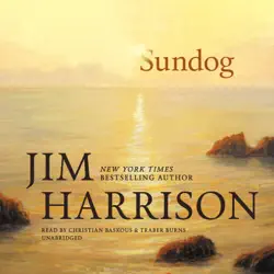 sundog audiobook cover image
