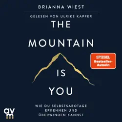 the mountain is you audiobook cover image