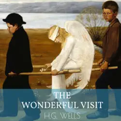 the wonderful visit (unabridged) audiobook cover image