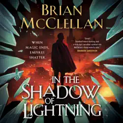 in the shadow of lightning audiobook cover image