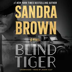 blind tiger audiobook cover image