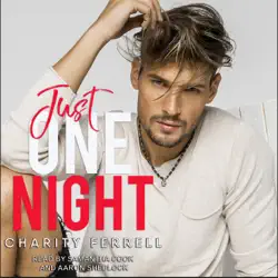 just one night audiobook cover image