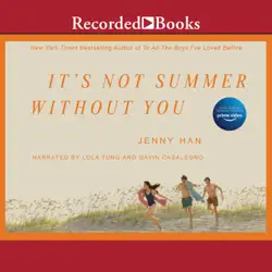 it's not summer without you (summer series) audiobook cover image