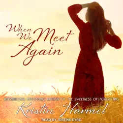 when we meet again audiobook cover image