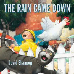 the rain came down audiobook cover image