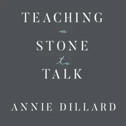 teaching a stone to talk audiobook cover image