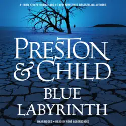 blue labyrinth audiobook cover image