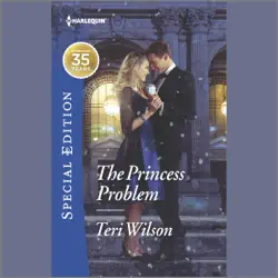 the princess problem audiobook cover image