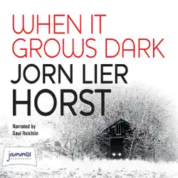 when it grows dark audiobook cover image