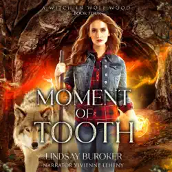 moment of tooth audiobook cover image