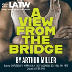a view from the bridge audiobook cover image