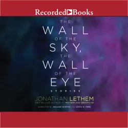 the wall of the sky, the wall of the eye audiobook cover image