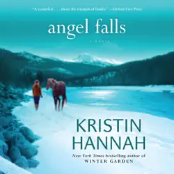 angel falls (unabridged) audiobook cover image