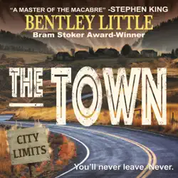 the town audiobook cover image
