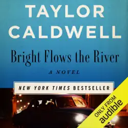 bright flows the river: a novel (unabridged) audiobook cover image