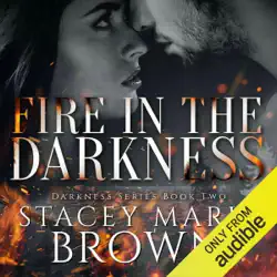 fire in the darkness: darkness series volume 2 (unabridged) audiobook cover image