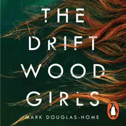 the driftwood girls audiobook cover image