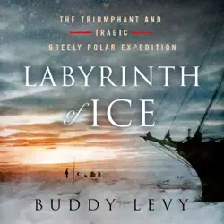 labyrinth of ice audiobook cover image