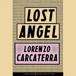 lost angel audiobook cover image