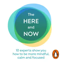 the here and now audiobook cover image