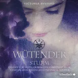 wütender sturm (die farben des blutes 4) audiobook cover image