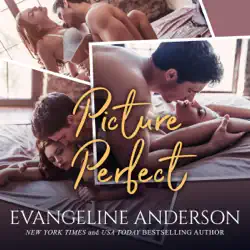 picture perfect (unabridged) audiobook cover image