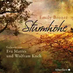sturmhöhe audiobook cover image
