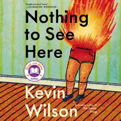 nothing to see here audiobook cover image