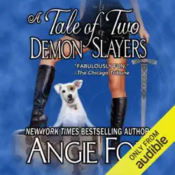 a tale of two demon slayers: biker witches mystery, book 3 (unabridged) audiobook cover image