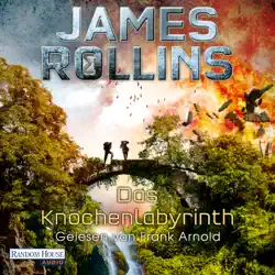 das knochenlabyrinth audiobook cover image