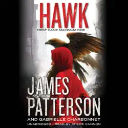 hawk audiobook cover image