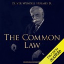 The Common Law (Unabridged) MP3 Audiobook