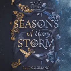seasons of the storm audiobook cover image