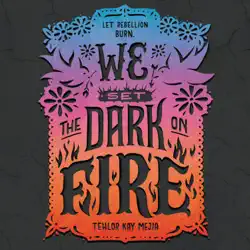 we set the dark on fire audiobook cover image