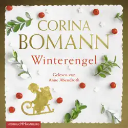 winterengel audiobook cover image