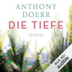 die tiefe: stories audiobook cover image