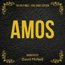 the holy bible - amos (king james version) audiobook cover image