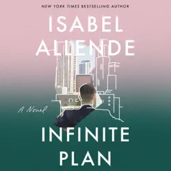 the infinite plan audiobook cover image