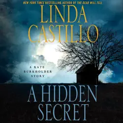 a hidden secret audiobook cover image