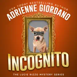 incognito: a hidden identity mystery audiobook cover image