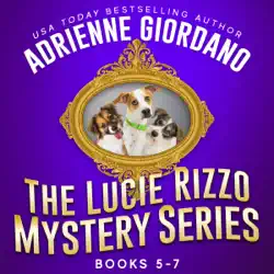 lucie rizzo mystery series box set 2: a humorous amateur sleuth mystery series audiobook cover image