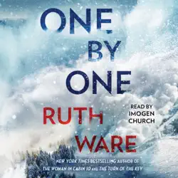 one by one (unabridged) audiobook cover image