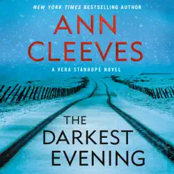 the darkest evening audiobook cover image