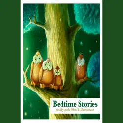 bedtime stories audiobook cover image