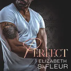 perfect: a hot billionaire romance audiobook cover image