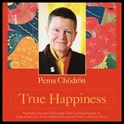 true happiness audiobook cover image