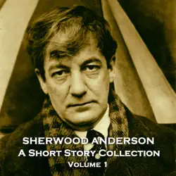 sherwood anderson - a short story collection audiobook cover image