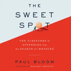 the sweet spot audiobook cover image