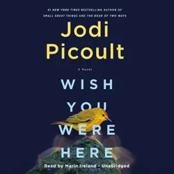 wish you were here: a novel (unabridged) audiobook cover image